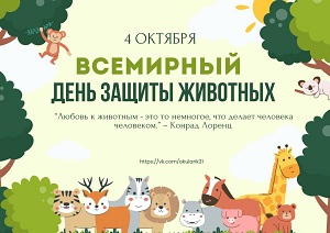 Пушистый праздник.